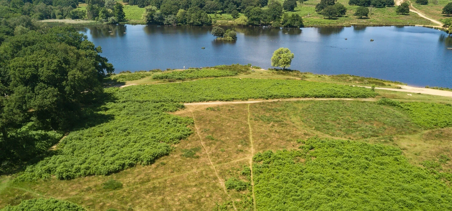 Drone shot of Richmond Park