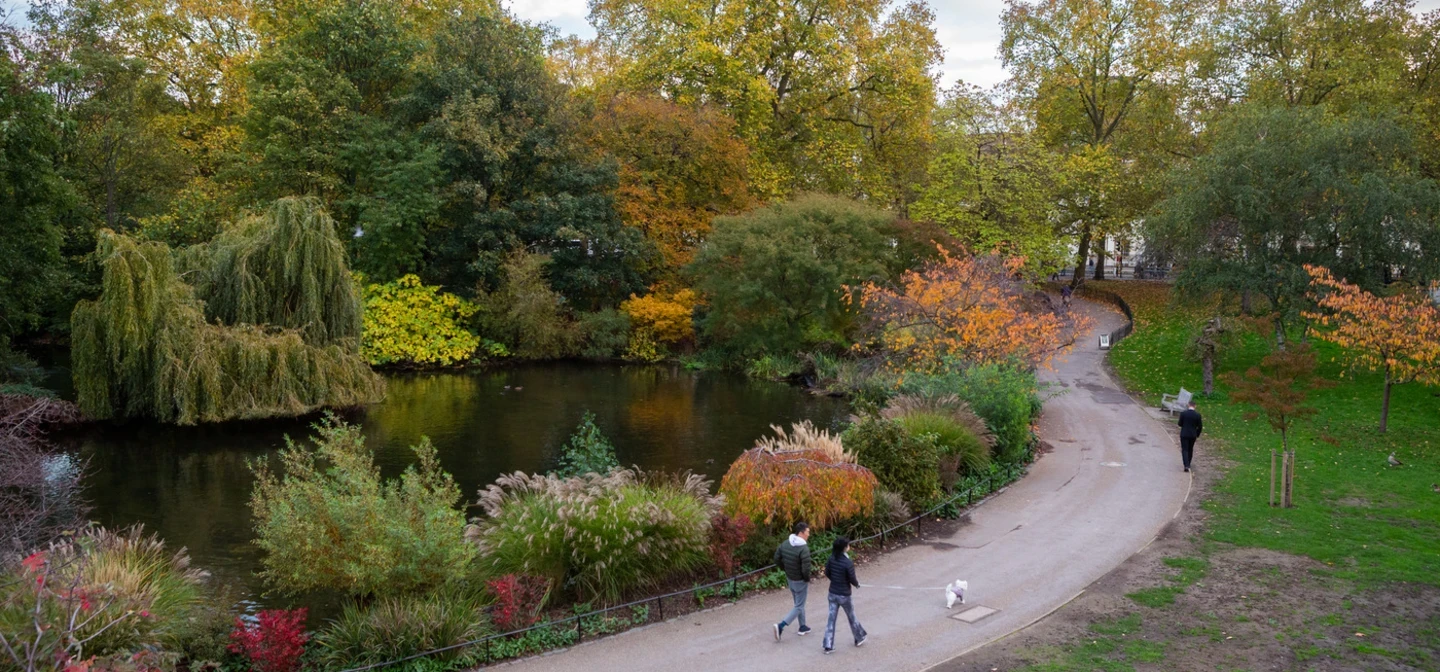St. James's Park in autumn