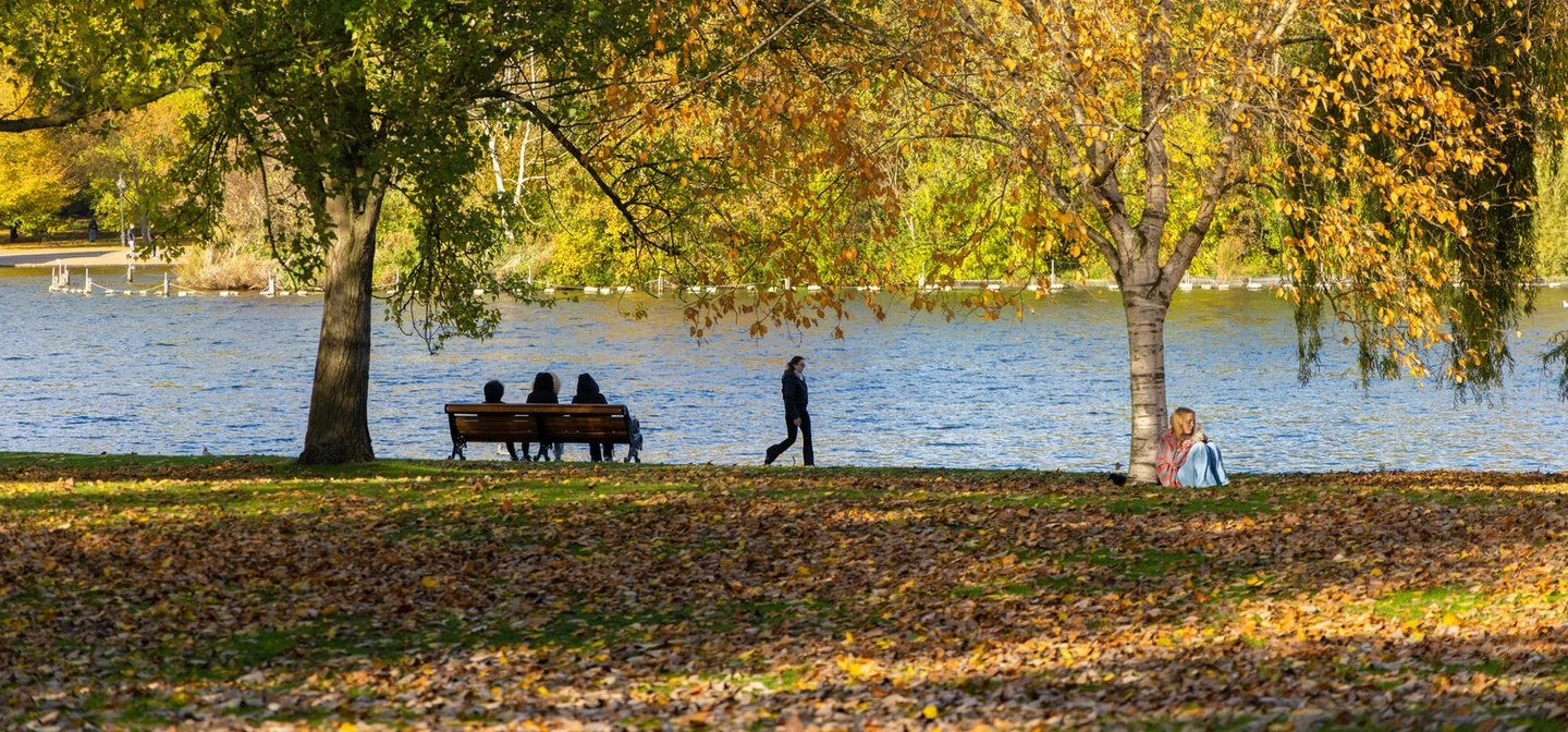 Autumn in the royal parks