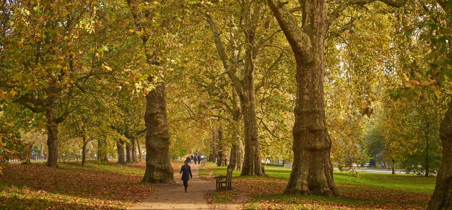 Broadwalk in Hyde Park in autumn