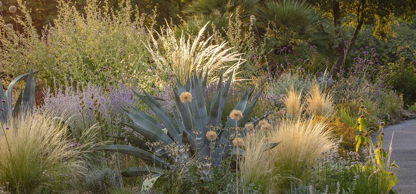 Climate resilient planting