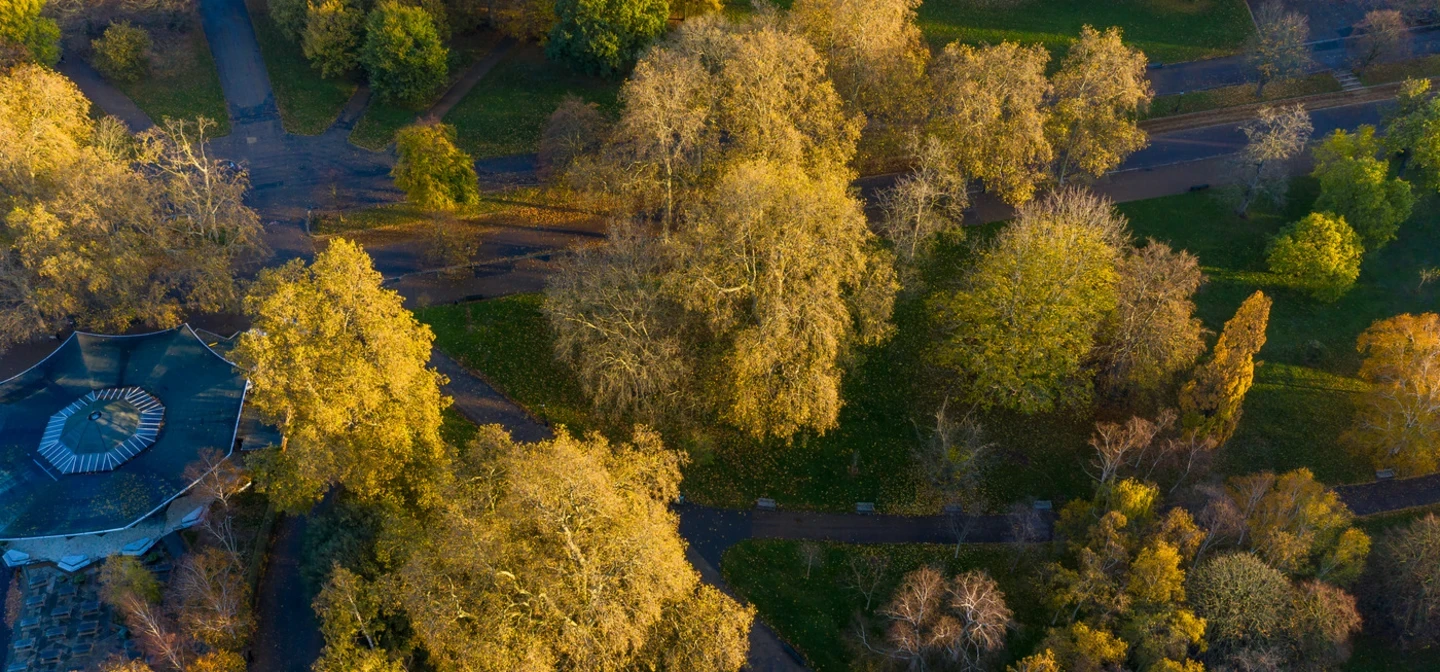 Aerial photograph of Hyde Park in autumn