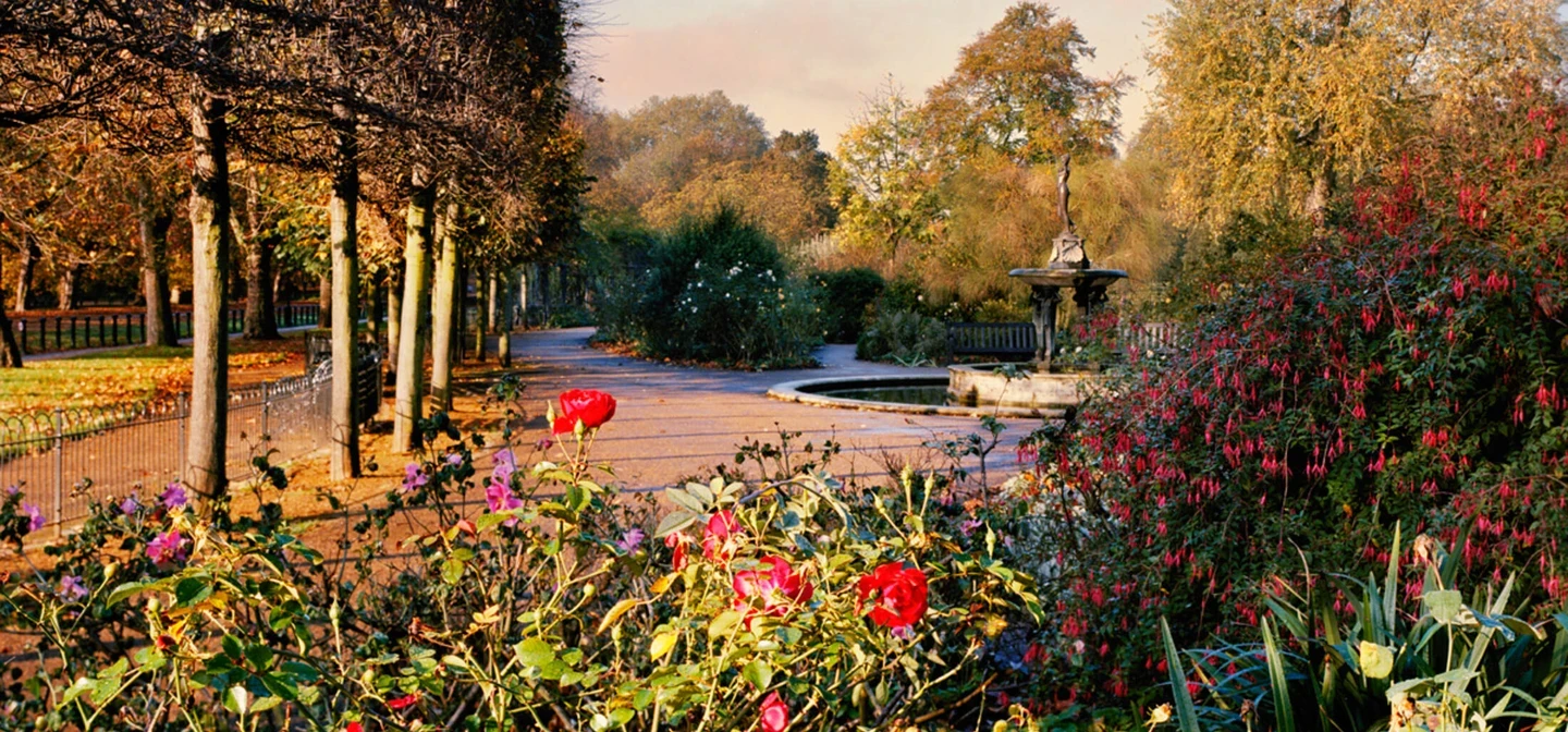 Autumn flowers in Hyde Park