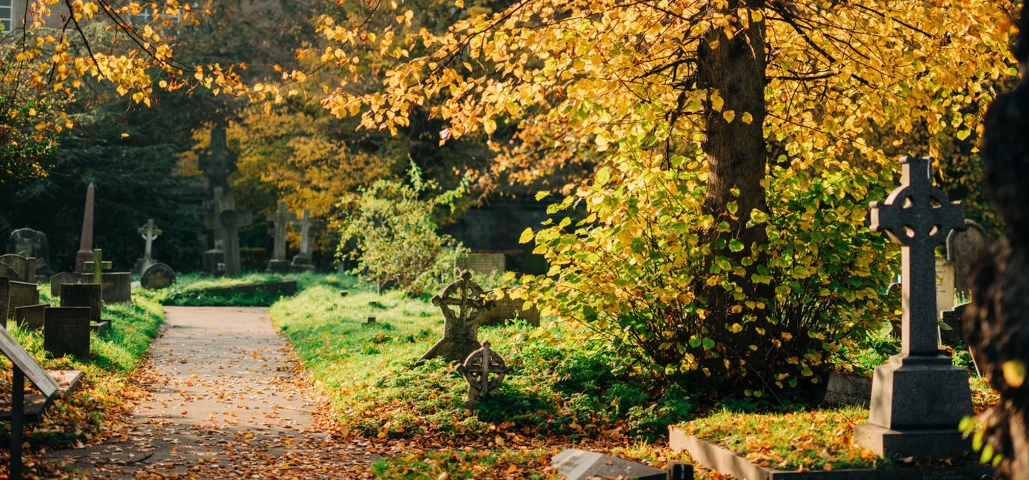 Cemetery path in autumn