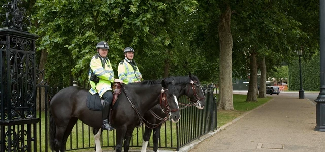 Police on horses in Hyde Park