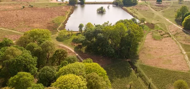 Aerial view of Pen Ponds, Richmond Park