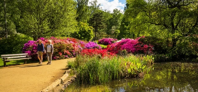 Ladies walking through the Isabella Plantation