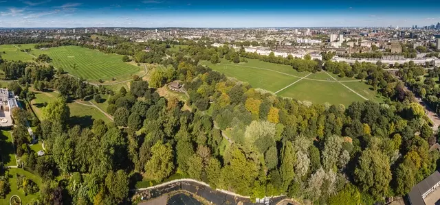 The Regent's Park from above