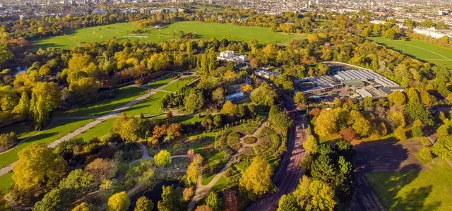 The Regent's Park & Primrose Hill aerial view