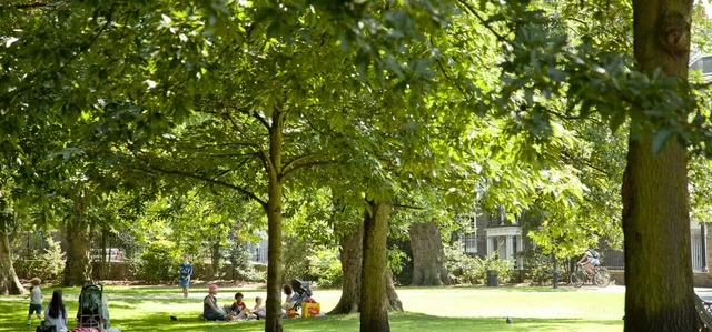 People sitting under trees in Greenwich Park