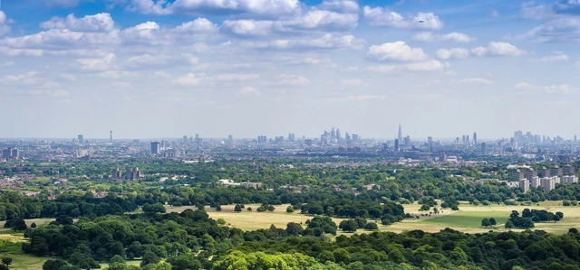 Drone photo of Richmond Park