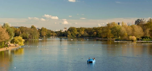 The two freshwater inlets in The Round Pond are affectionately known as 'mushrooms'