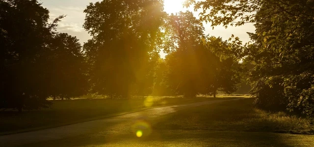 Early morning in Kensington Gardens