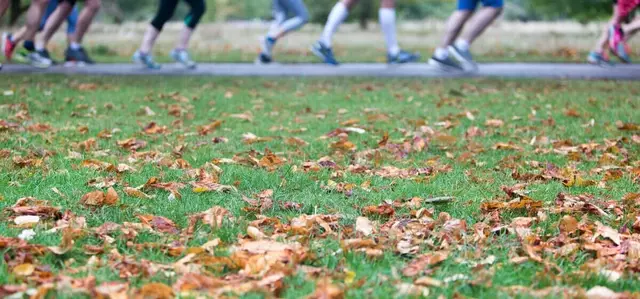 Legs of people running in the park