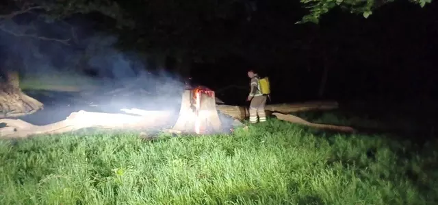 A photo of a fireman putting out a fire caused by a disposable BBQ left on a tree stump in Richmond Park at night time. 
