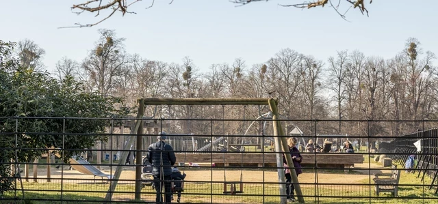 Bushy Park playground
