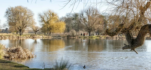 Leg of Mutton Pond in winter