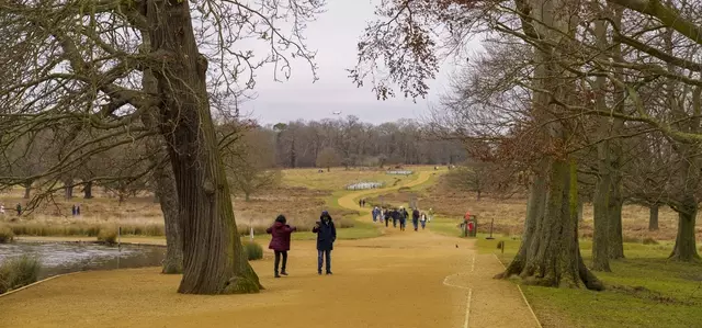 Visitors enjoying a walk in Richmond Park in winter