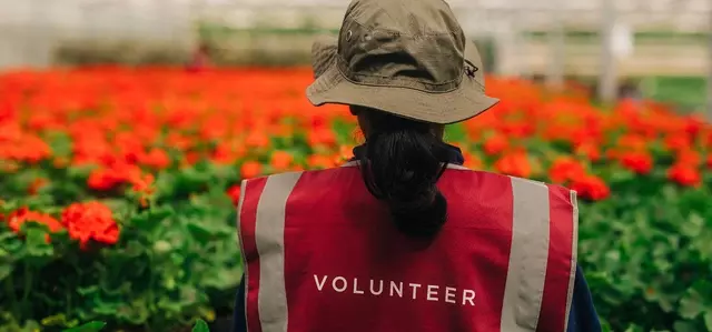 A Hyde Park nursery volunteer with her back to the camera