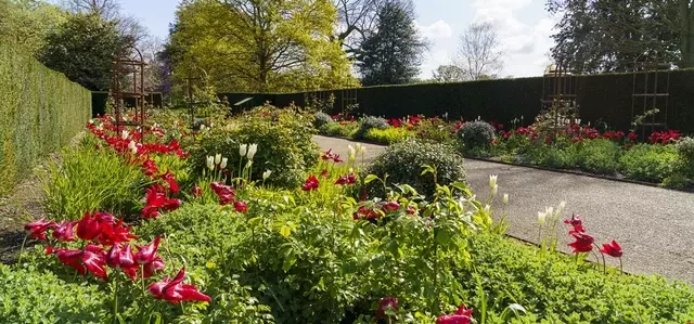 The Rose Garden in spring