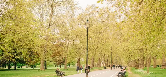 The Broad Walk in Spring in Hyde Park