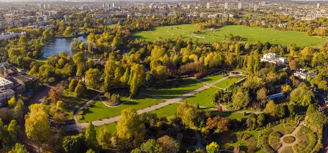 An overhead, birds eye view of Richmond Park