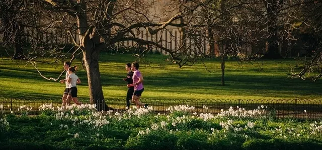Runners by St. James's Lake in spring