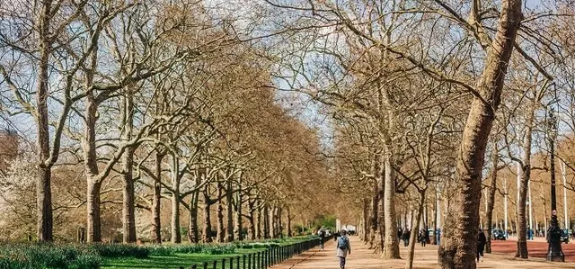 The path alongside The Mall in St. James's Park