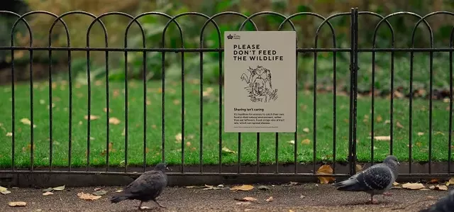 An instructional sign designed by Sir Quentin Blake near the Cavalry Memorial in Hyde Park
