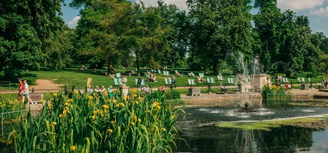 Flowers in the water and people on deckchairs in the background on a sunny day