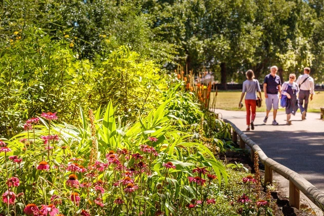 Flowers in Victoria Tower Gardens