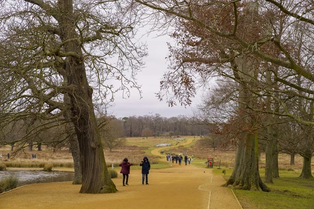 Visitors enjoying a walk in Richmond Park in winter