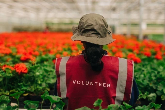 A Hyde Park nursery volunteer with her back to the camera