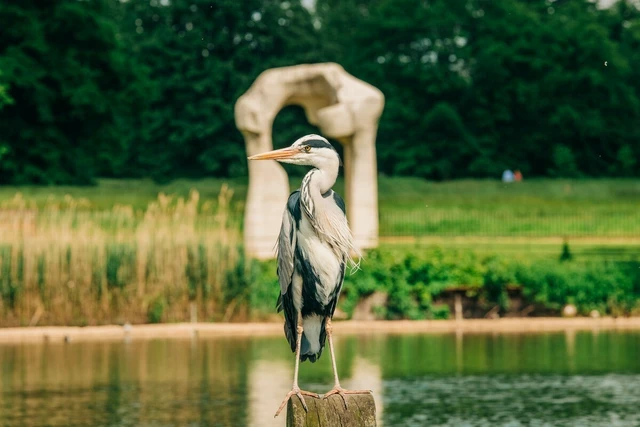 A heron, in front of a stone arch