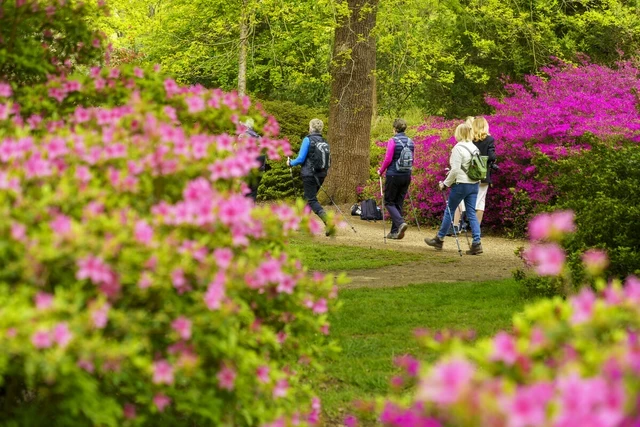 Walkers in Richmond Park