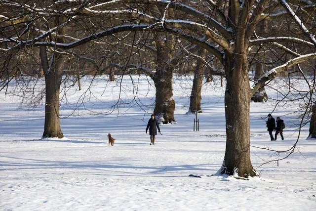 The Green Park in winter