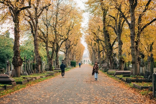 Autumn colours along the Central Avenue