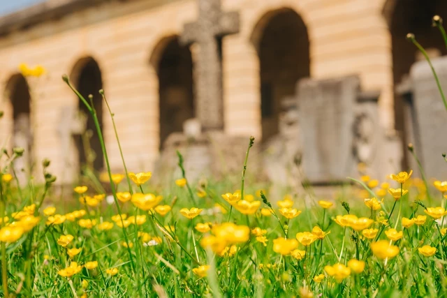 Brompton gardens spring