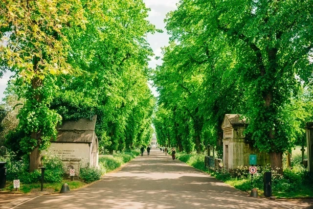 Image of lime tree line avenue with the Brompton Capel at the end