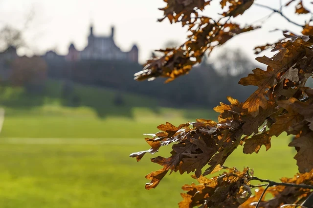 Golden autumn leaves with the Royal Observatory in the background