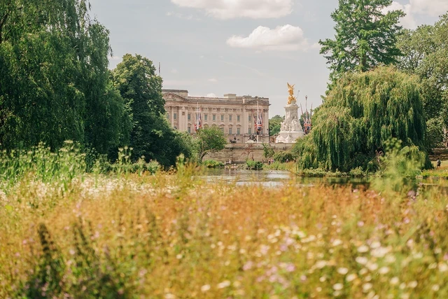 Buckingham Palace viewed from a wildflower meadow in St. James's Park