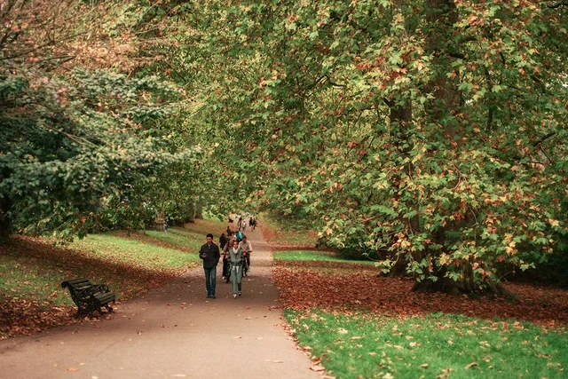 Walking among autumn leaves