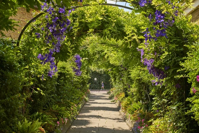 Summer flowers in The Regent's Park