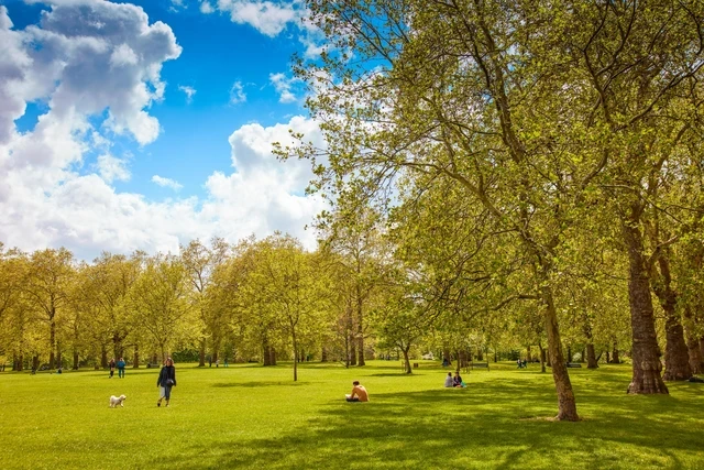 A summers day at Green Park