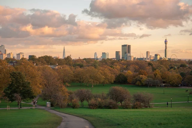 Primrose Hill view with autumn colour, The Regent's Park