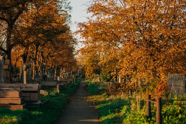 Brompton Cemetery in autumn