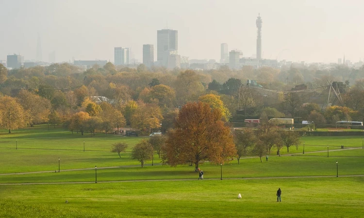 View from the top of Primrose Hill