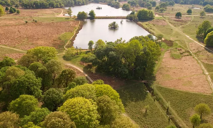 Aerial view of Pen Ponds, Richmond Park