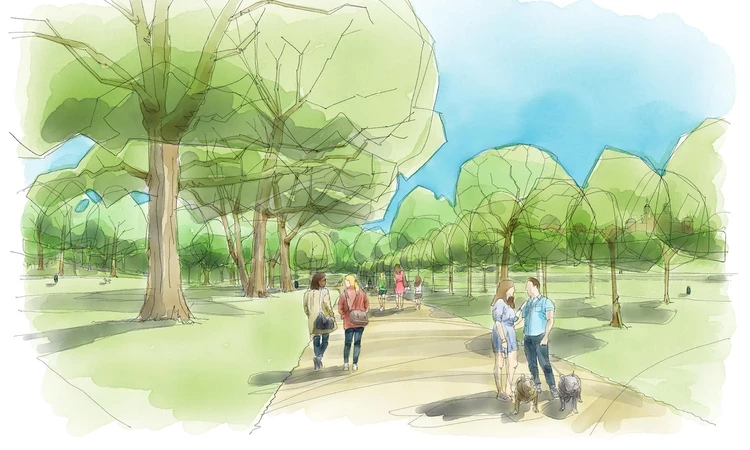 Artist's impression of restored tree avenue