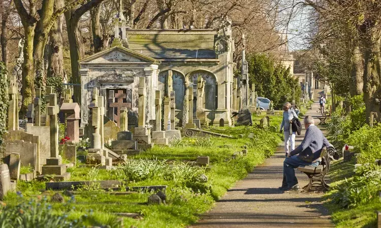 A path in Brompton cemetery 